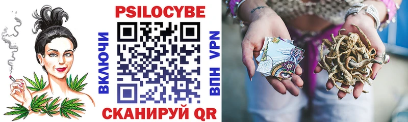 Псилоцибиновые грибы Psilocybe  Апатиты 